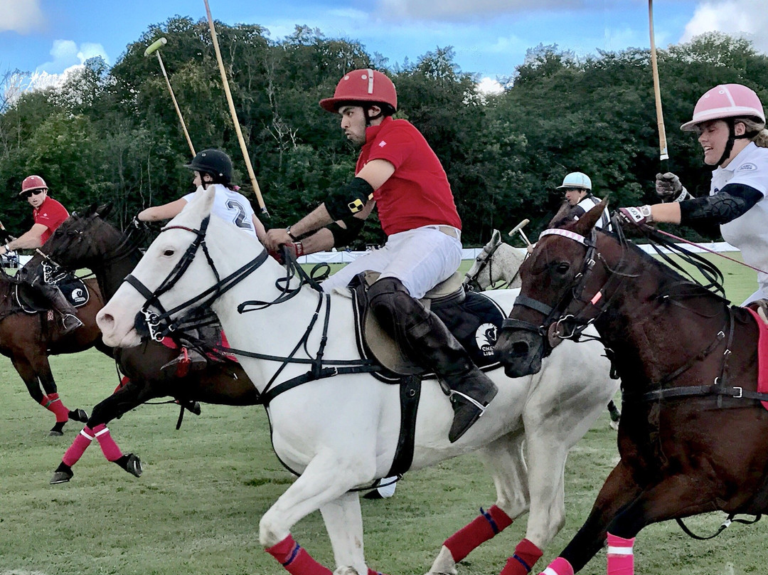 Copenhagen Polo Club景点图片