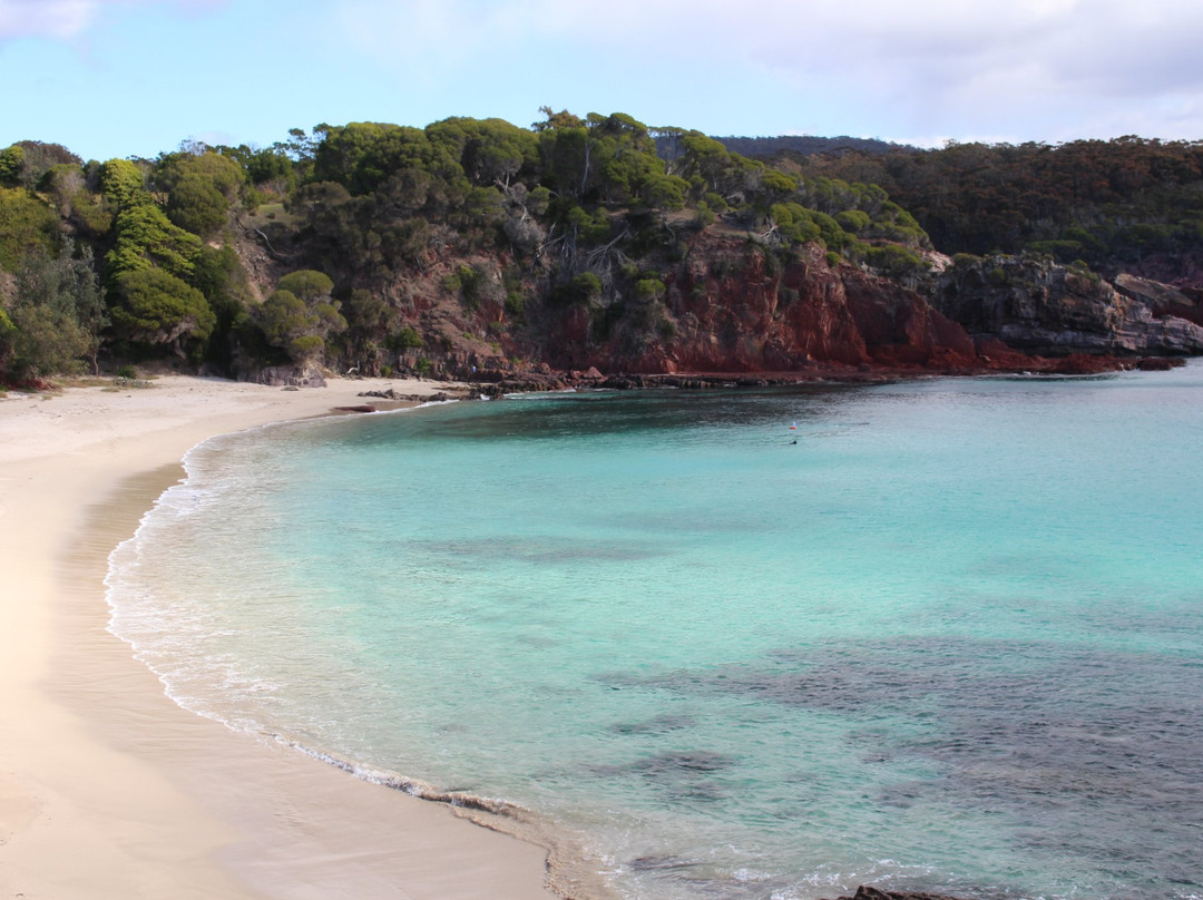Australia's Coastal Wilderness Adventures-伊登港必去景点
