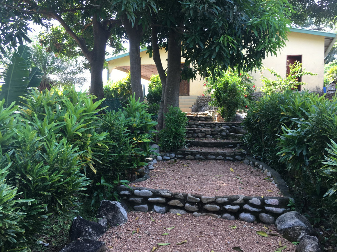 La Villa Elijah - Guinea Fishing Camp主图