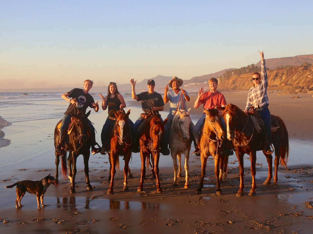 Horses by Jose-La Mision必去景点