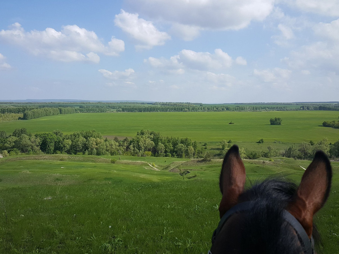 Horse Club Favorit景点图片