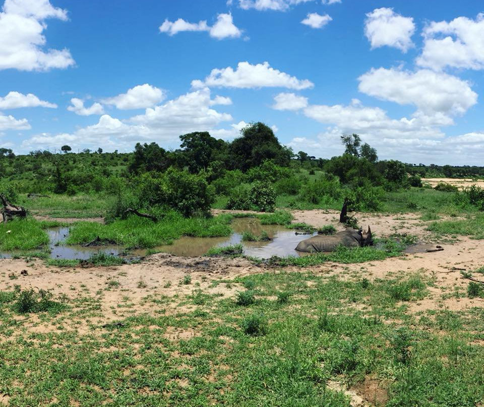 Ashanti Travel-开普敦中心区必去景点