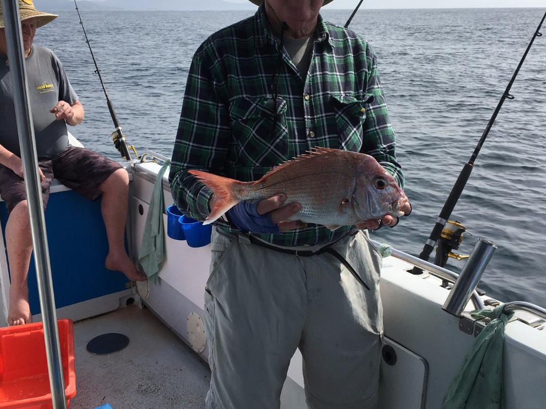 Batemans Bay Fishing景点图片