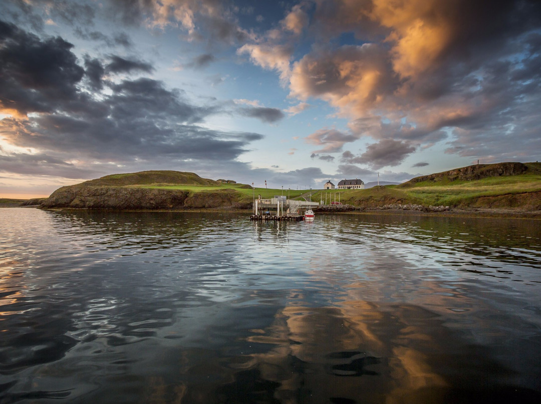 Videy Island-雷克雅未克必去景点