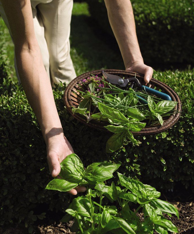 Spa at Perry Cabin-圣迈克必去景点