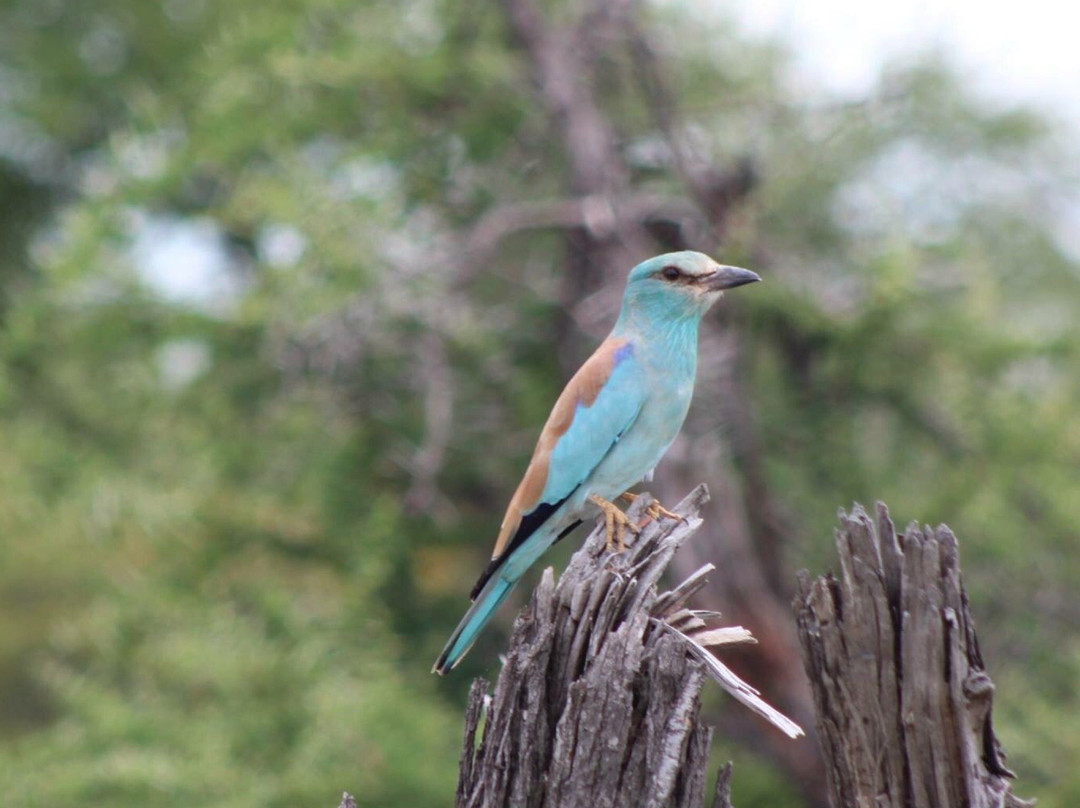 Siyafunda Wildlife & Conservation-霍德斯普鲁特必去景点