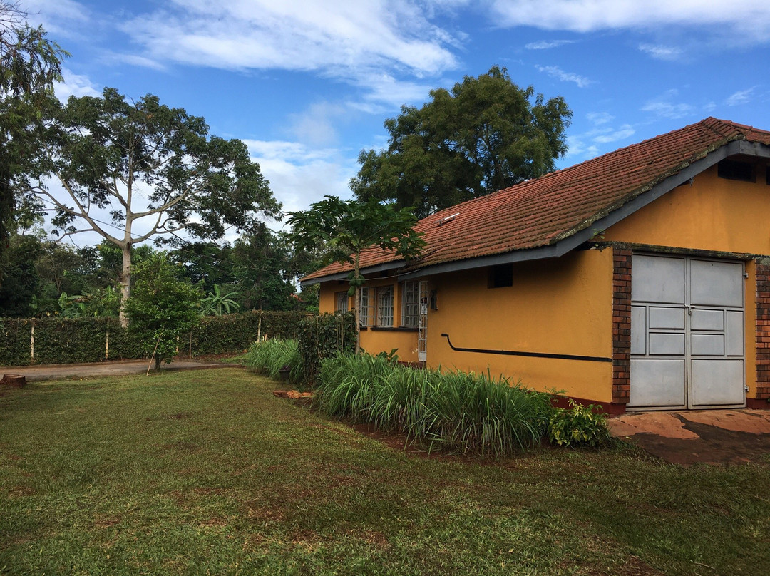 Buikwe旅游景点-The Woody Option Club