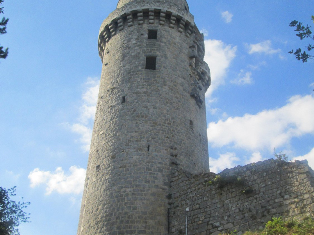 Château de Montlhéry景点图片