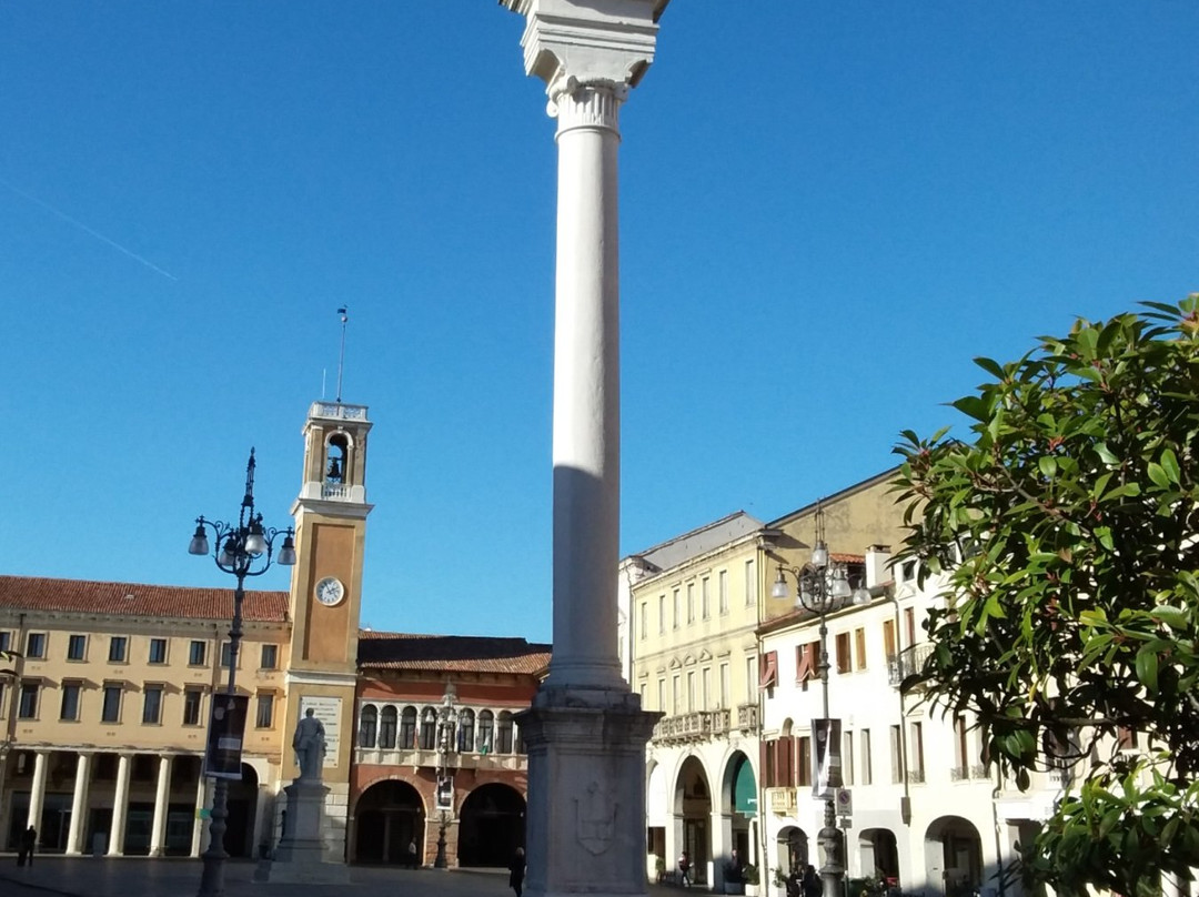 Colonna con il leone di San Marco-罗维戈必去景点