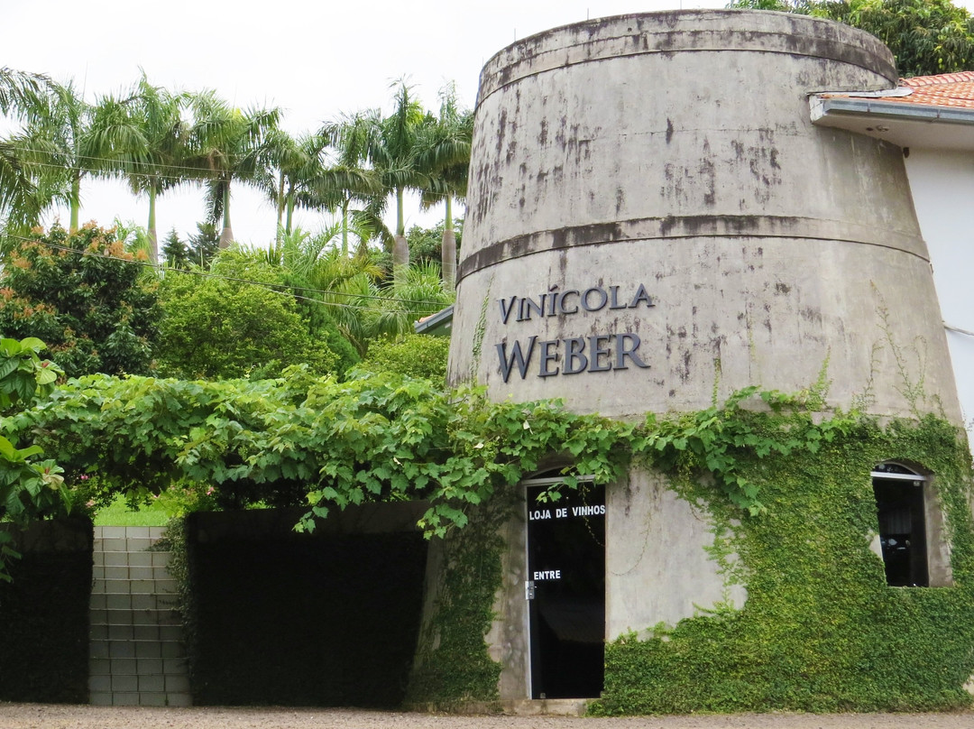 Vinicola Weber景点图片