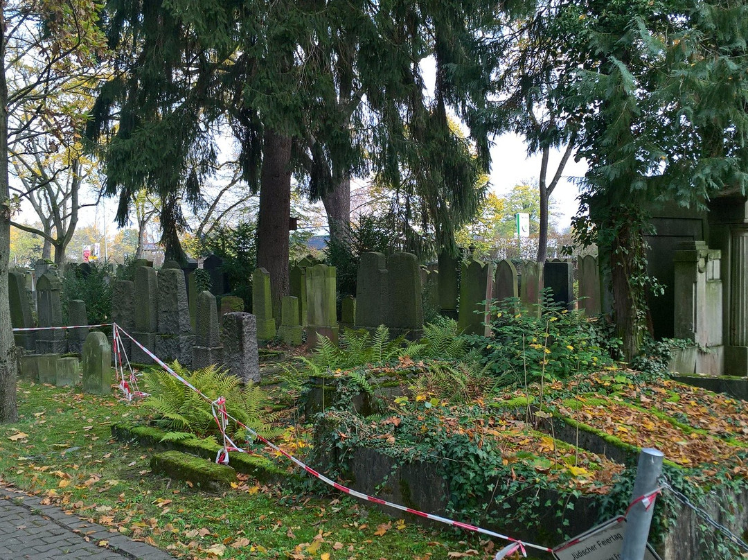 Alter Friedhof景点图片