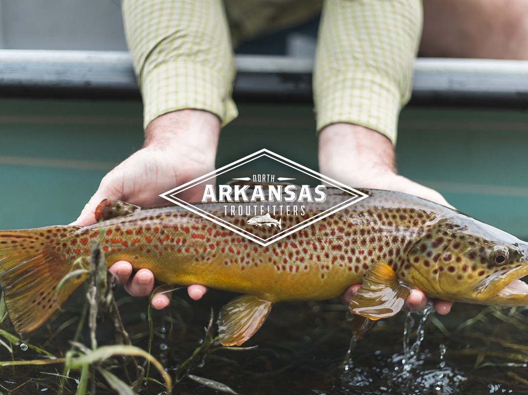 North Arkansas Troutfitters景点图片