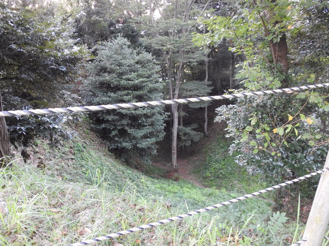 Kokokuji Castle景点图片