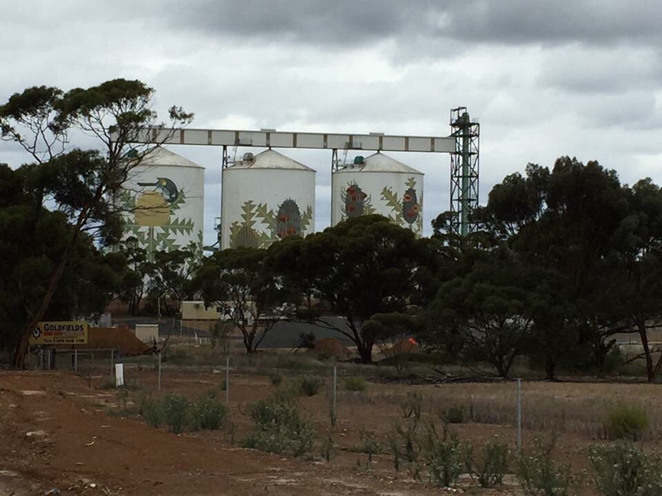 Ravensthorpe旅游攻略图片