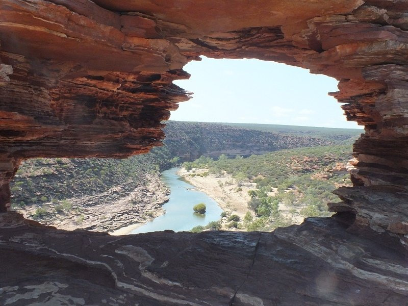 Australian Wildflower Tours景点图片