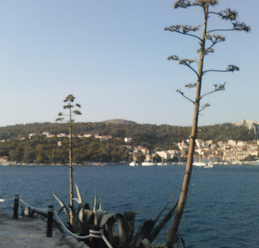 Island Galešnik景点图片