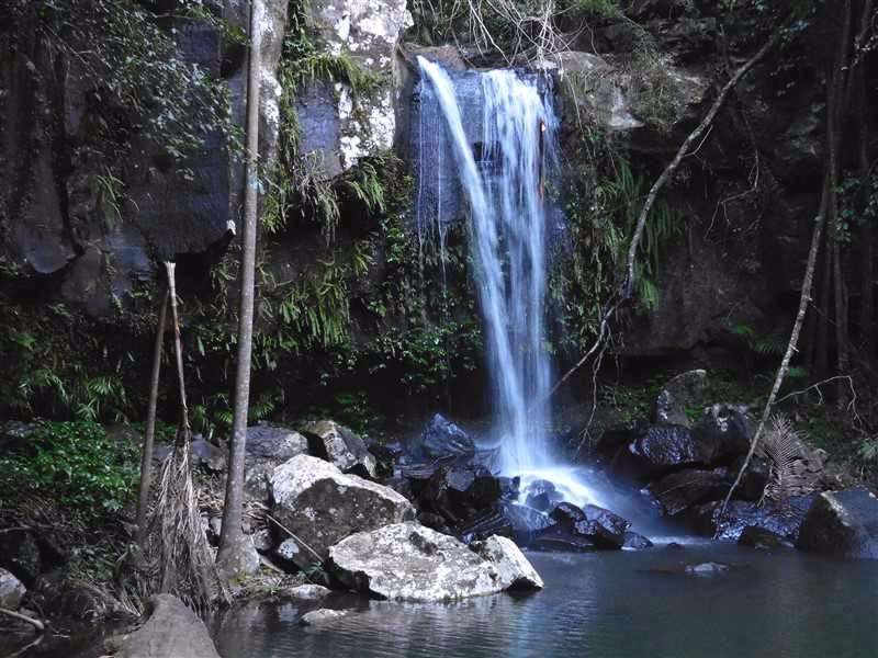 Day Trips From Brisbane-布里斯班必去景点