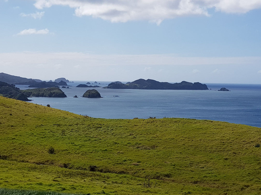 Kauri Cliffs Golf Course景点图片