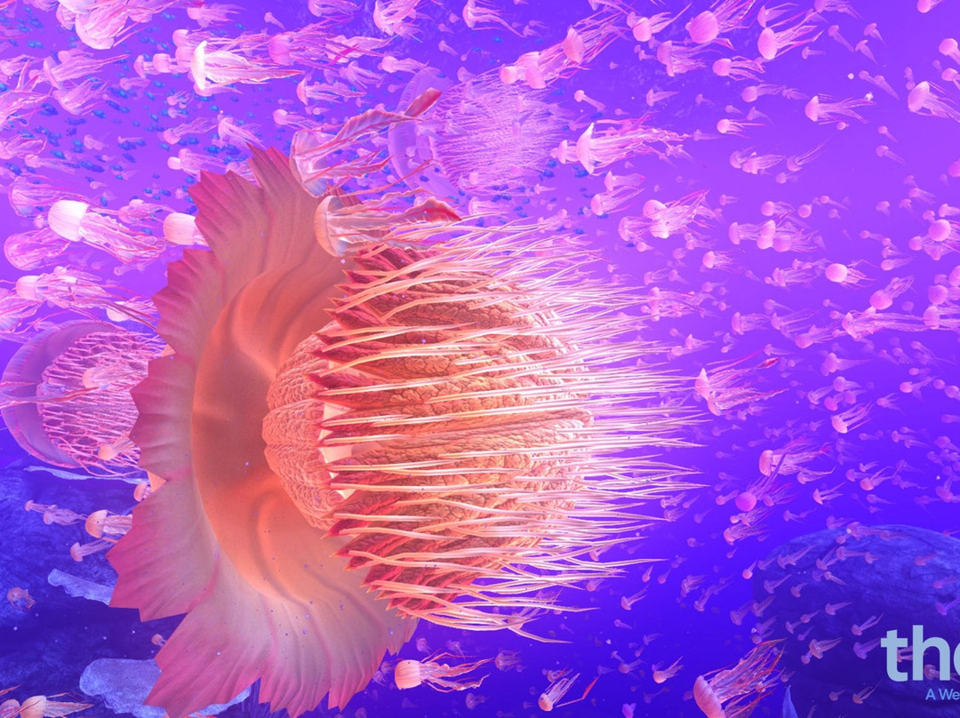 SunriverVR-太阳河必去景点