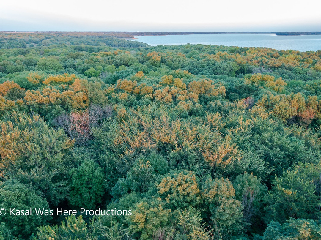Cordova Park Observation Tower-Otley必去景点