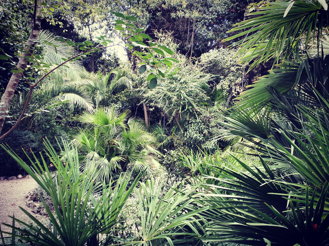 Collecorvino旅游景点-Parco Giardino dei Ligustri - Giardino Pittoresco