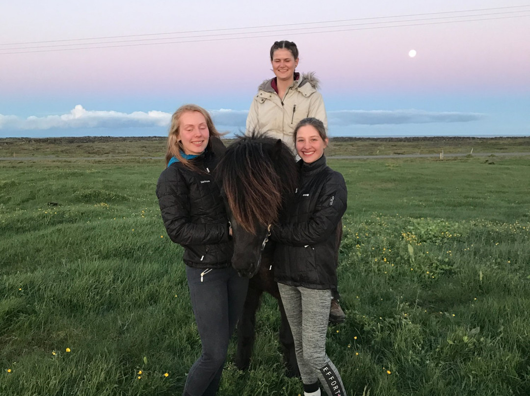 Perluhestar-Thorlakshofn必去景点