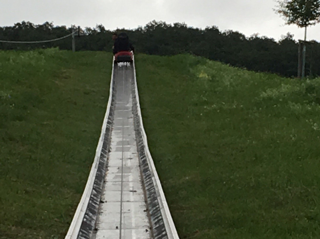 Sommerrodelbahn Loreley-Bob景点图片