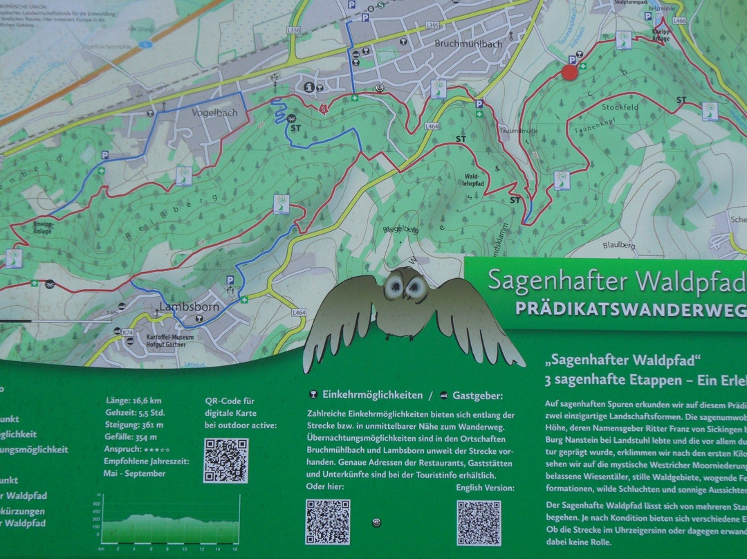 Sagenhafter Waldpfad景点图片