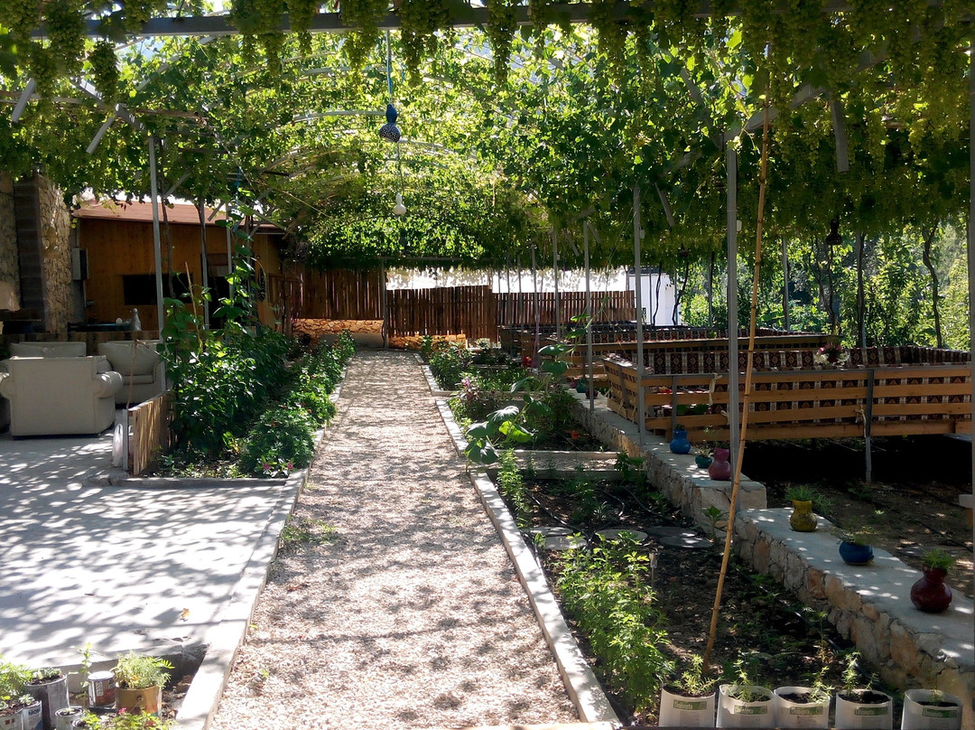 Islamlar餐馆和美食-Asmali Kosk Kahvalti & Gozleme Evi