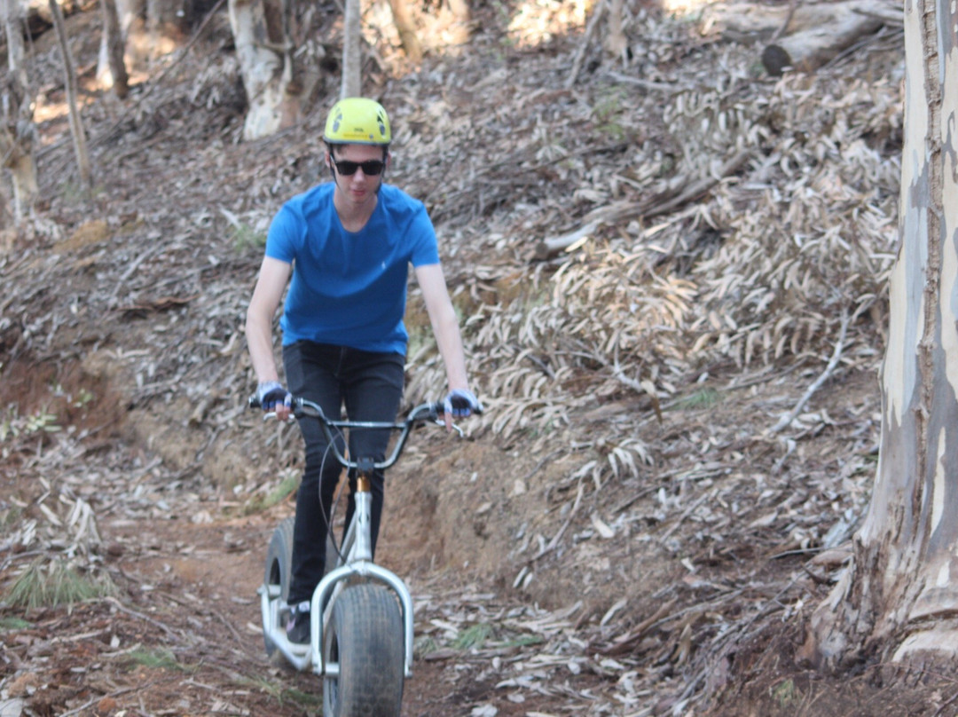 Scootours-桌山国家公园必去景点