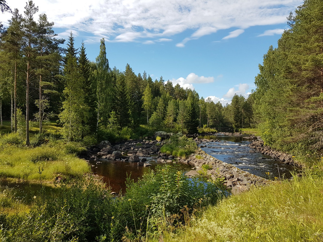 Wildlife Sweden-Camp Ängra景点图片