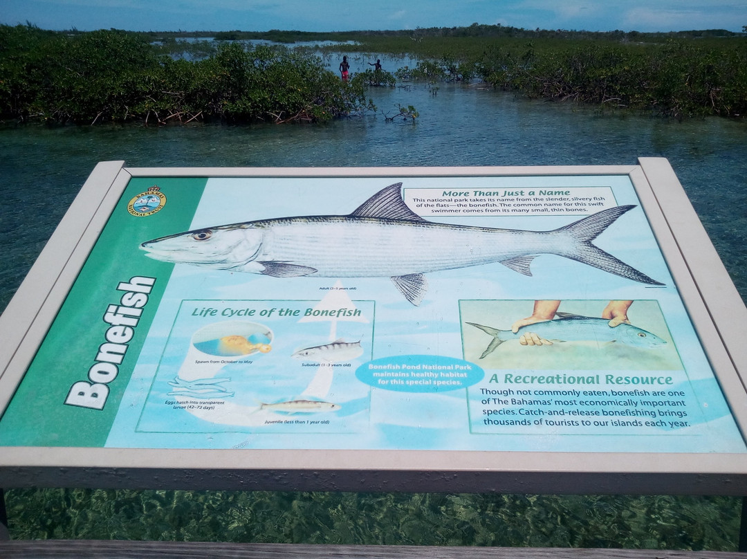 Bonefish Pond National Park-拿骚必去景点
