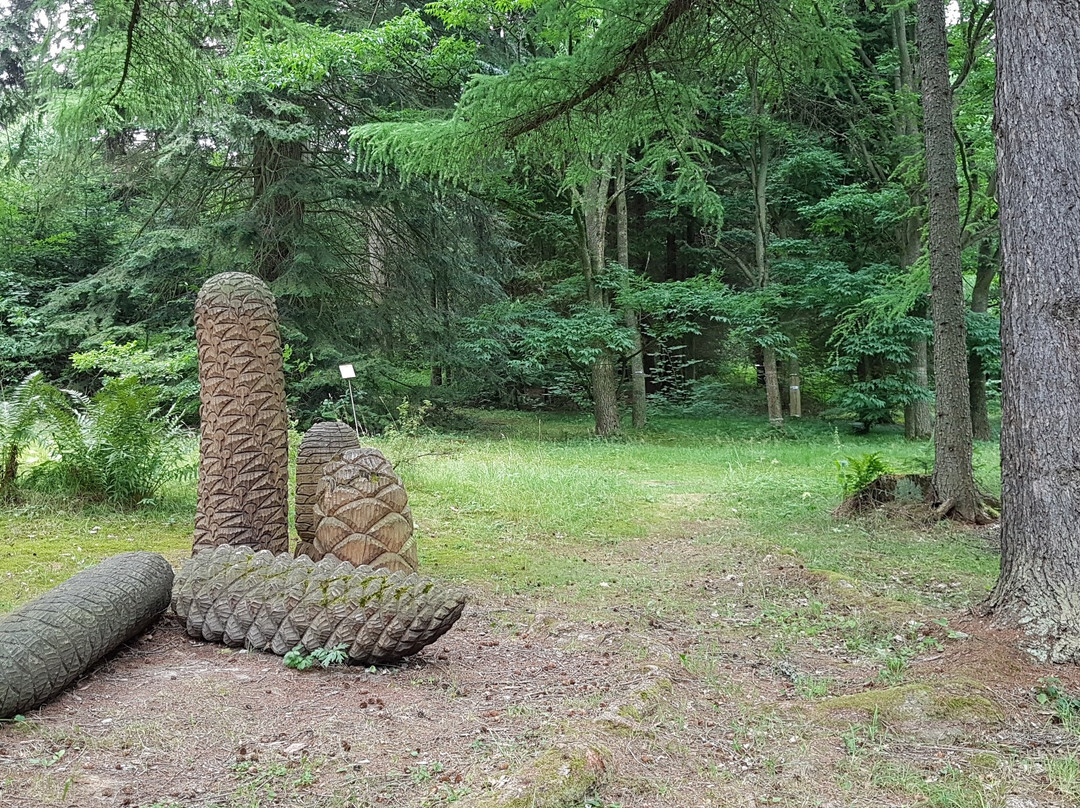 Arboretum Krtiny景点图片