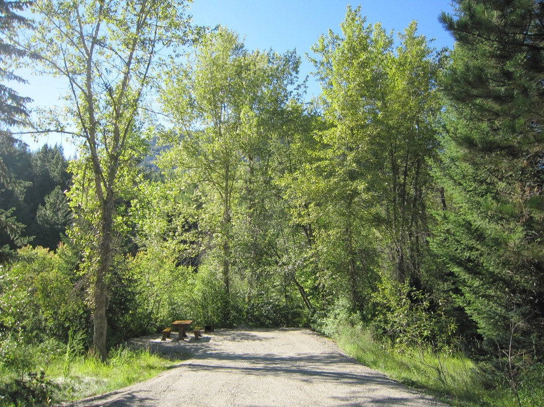 Boundary Creek Provincial Park景点图片