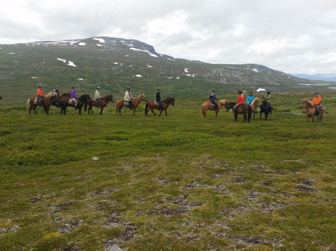 Meraakerfjell Ridesenter景点图片
