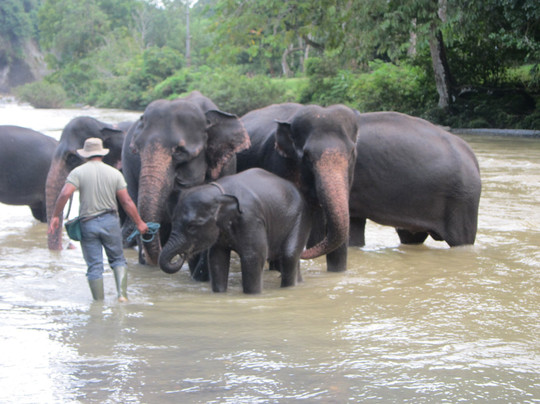 Sumatra Trips-棉兰必去景点