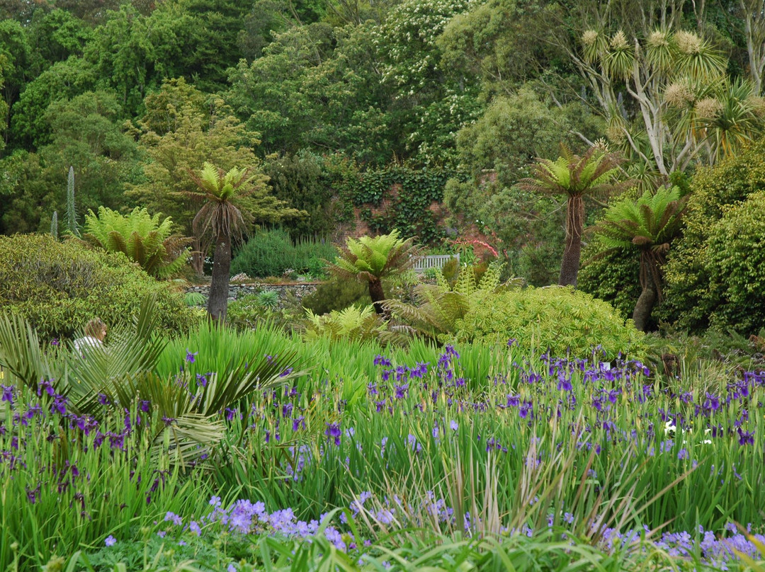 Logan Botanic Garden景点图片