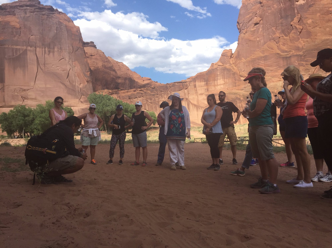 Detours Platinum Day Tours-坦佩必去景点