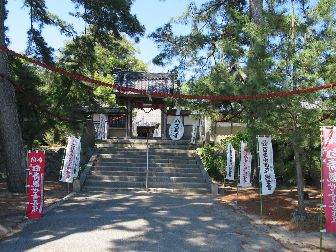 Hazu Kannon Kabocyadera Temple Myozenji Temple-西尾市必去景点