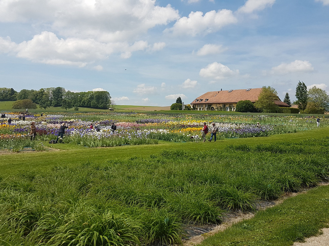 Vullierens旅游攻略图片