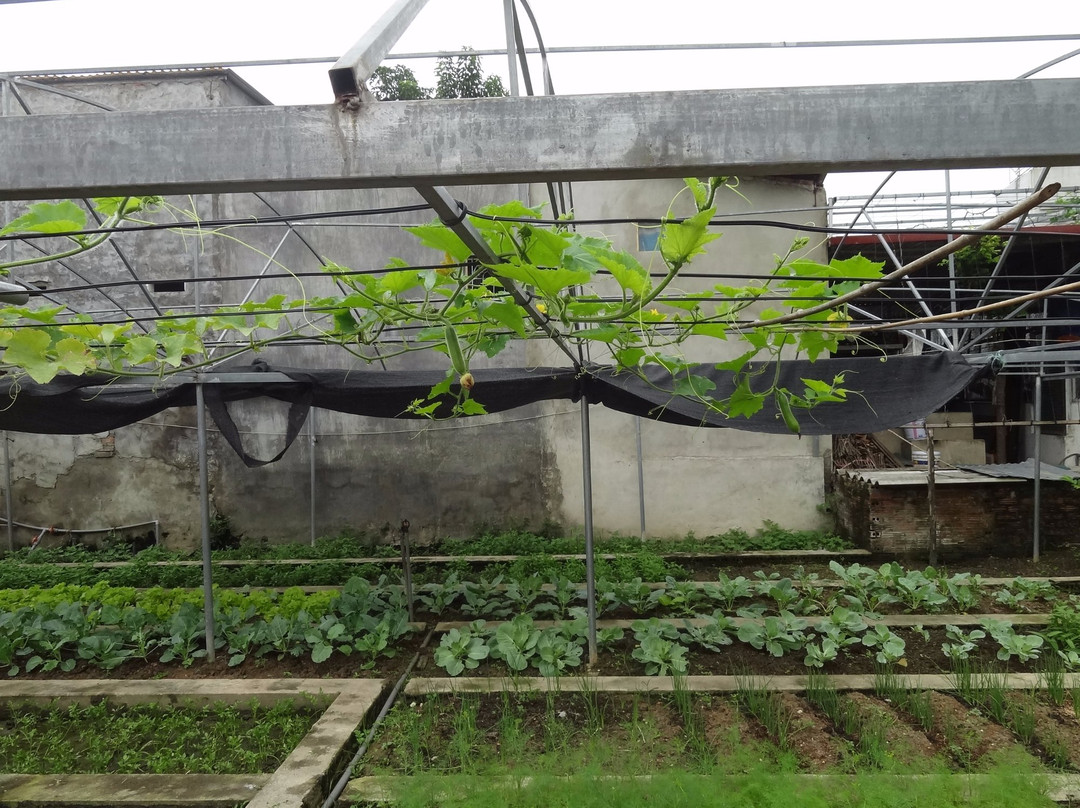 La Pan Tan酒店住宿-Binh Nga Homestay