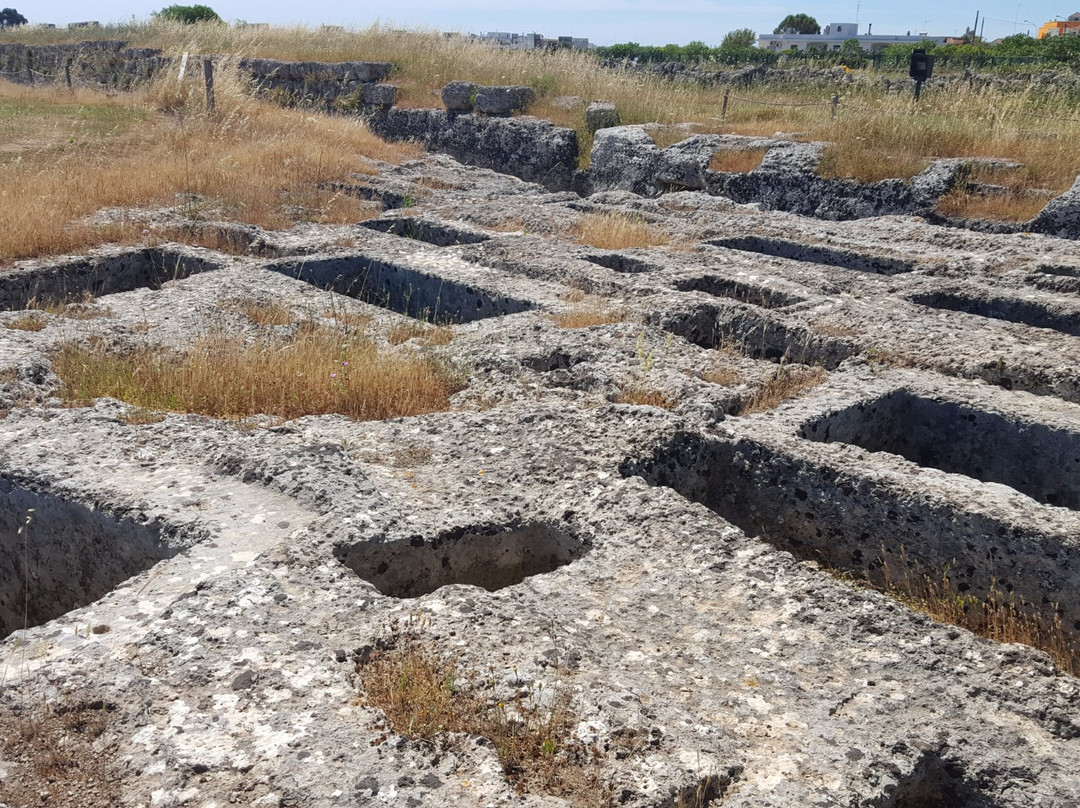 Manduria旅游景点-Parco Archeologico Manduria