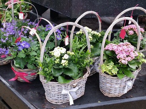 A G Meale & Sons-Stalham必去景点