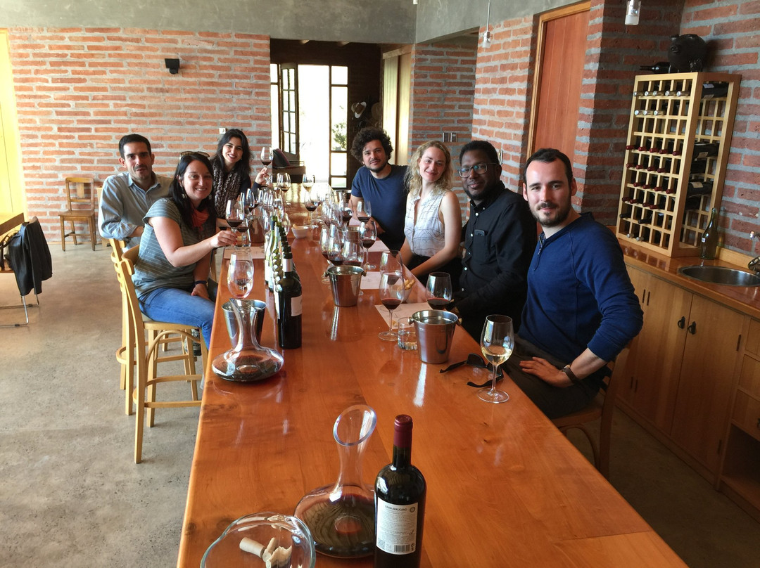 Viña Hacienda Araucano- François Lurton-Lolol必去景点