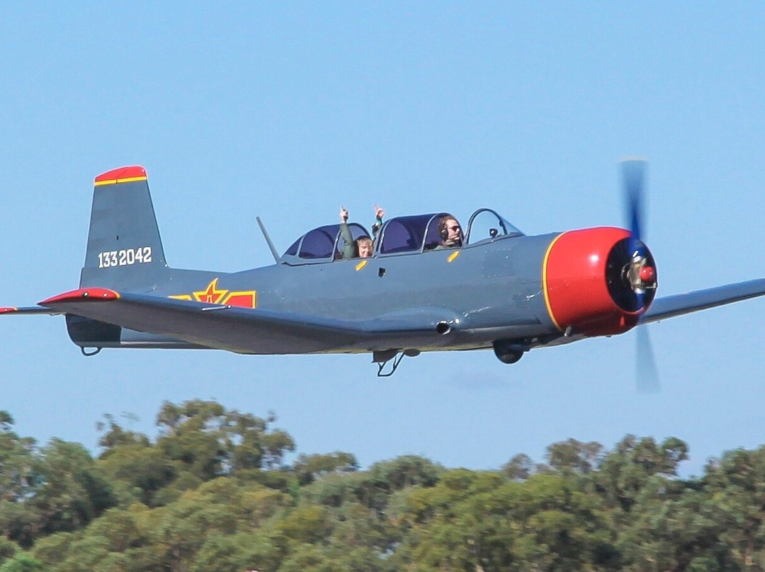 Warrior Warbirds-达博必去景点