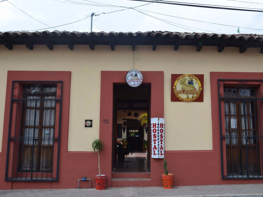 Hostal el Rincon de  los Camellos