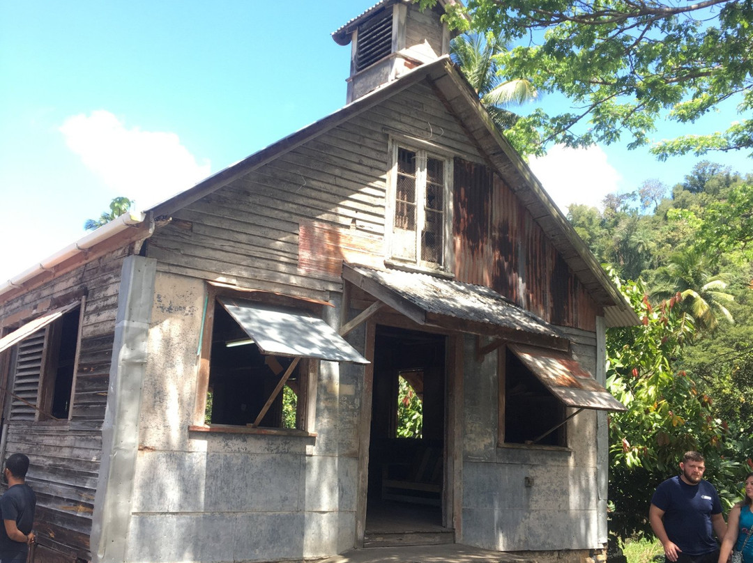 AJ Meddy Taxi & Tours Service-St. George's必去景点