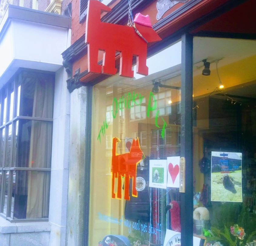 The Quirky Pet-蒙彼利埃必去景点