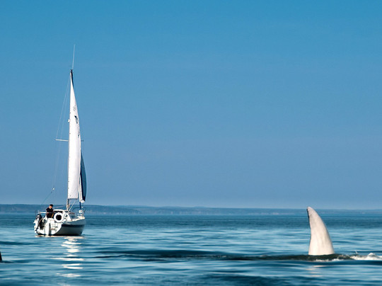 Meriscope-Portneuf-sur-Mer必去景点