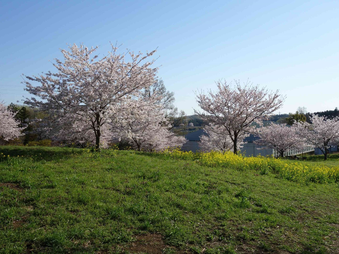 Shakuzen-ji Temple-岚山町必去景点